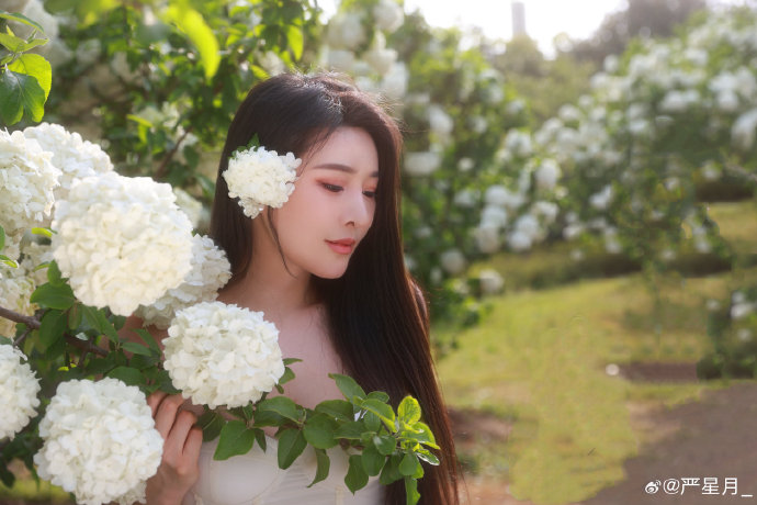 阿凡达 封面
